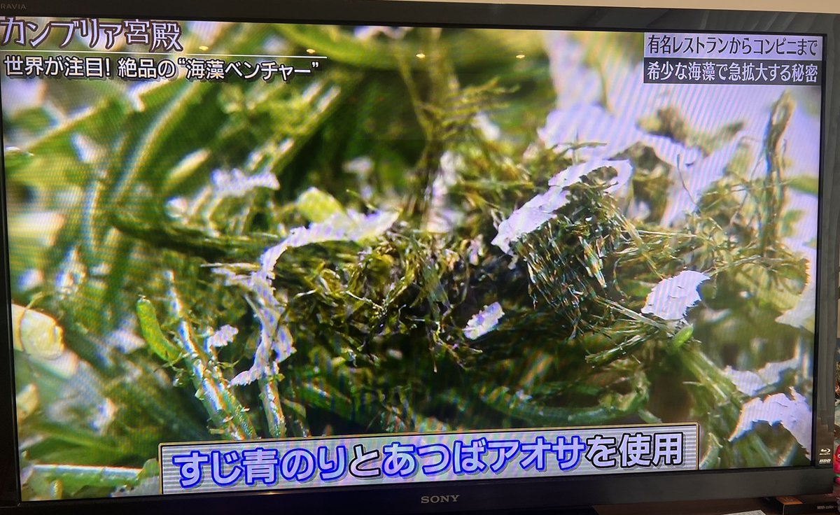 smashimo's tweet image. 昨夜のカンブリア宮殿、海藻ベンチャーさんの特集を観ていたら、大好きなpizza4P`s麻布台が🍕
あのアオサのピザも、友達とじゃんけんで取り合ったザッポリーネも、シーベジタブルの海藻だったらしい!
美味しいだけじゃない。って後から知ると嬉しいな✨