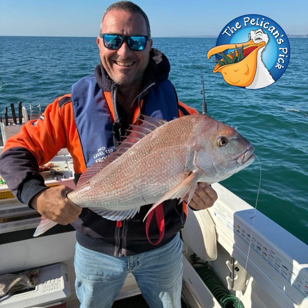This week’s Pelican's Pick superstar is Rome. He made the most of this sunny May weather by enjoying a day on the water at Stony Point in Western Port. Check out the full report here - vfa.vic.gov.au/pelicanspick