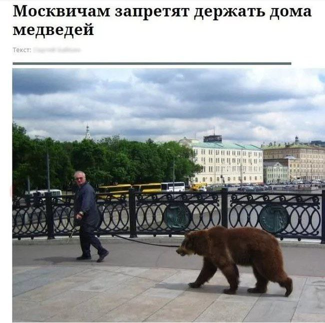 Во///дь™ tweet media