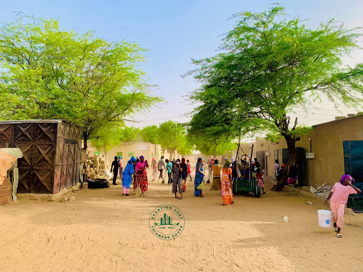 Ahmath_diallo's tweet image. Retour en images de la deuxième édition de nettoyage organisée par Quartier Vert Thiamène Cayor.
Ensemble pour un environnement sain.