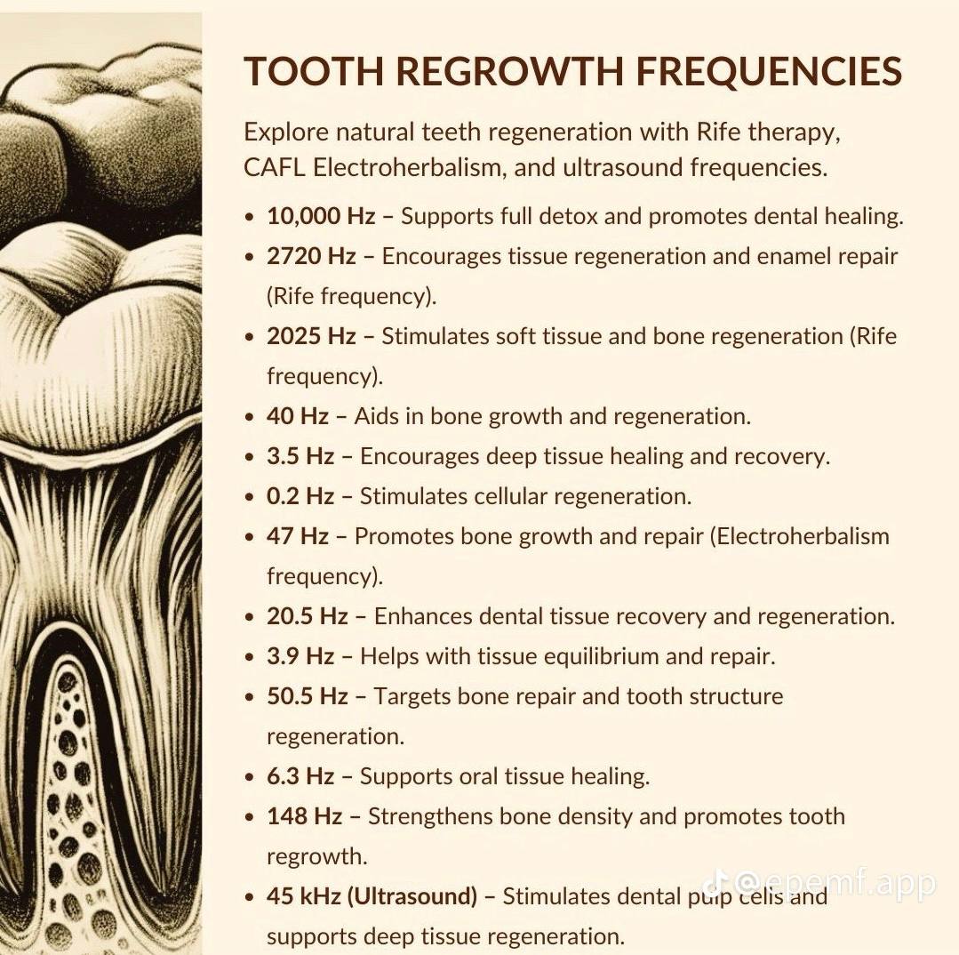Key frequencies for tooth regrowth include:

2720 Hz - Tissue and enamel regeneration

2025 Hz - Bone and soft tissue repair

47 Hz - Bone growth (Electroherbalism)

45 kHz - Stimulates dental pulp cells (Ultrasound)