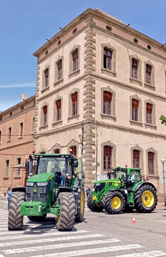 Rosa Martí Rué tweet media