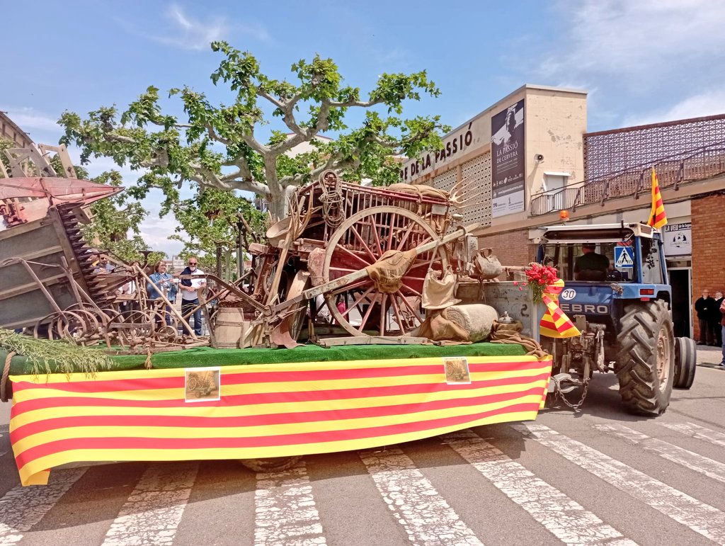 Rosa Martí Rué tweet media