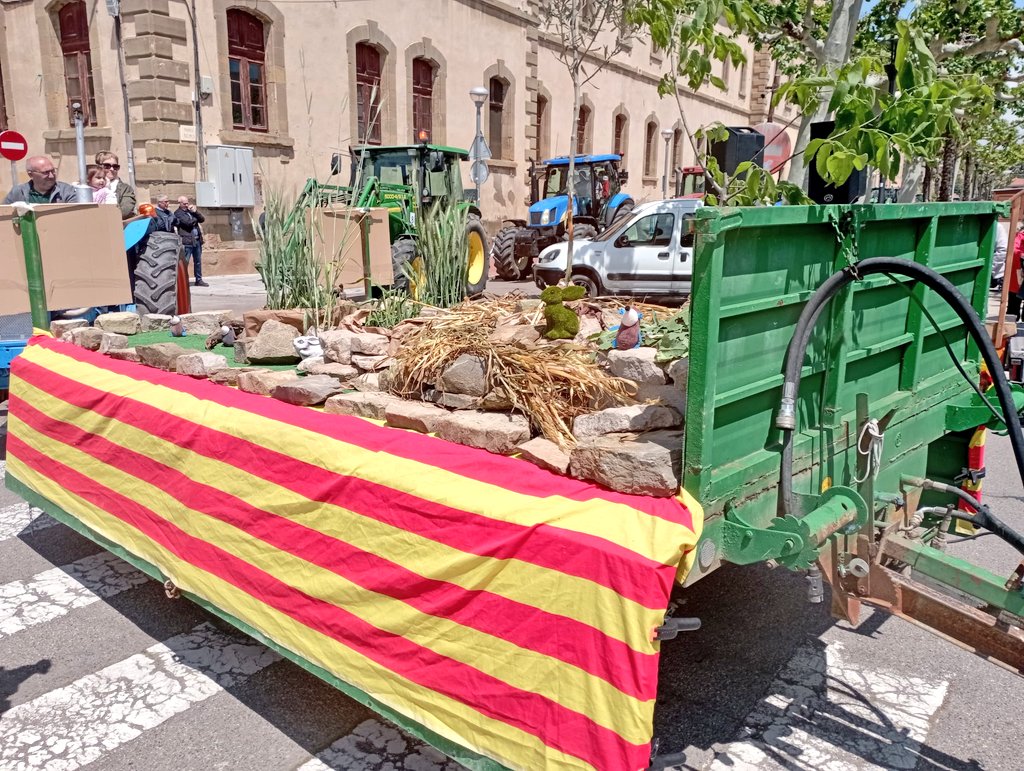 Rosa Martí Rué tweet media