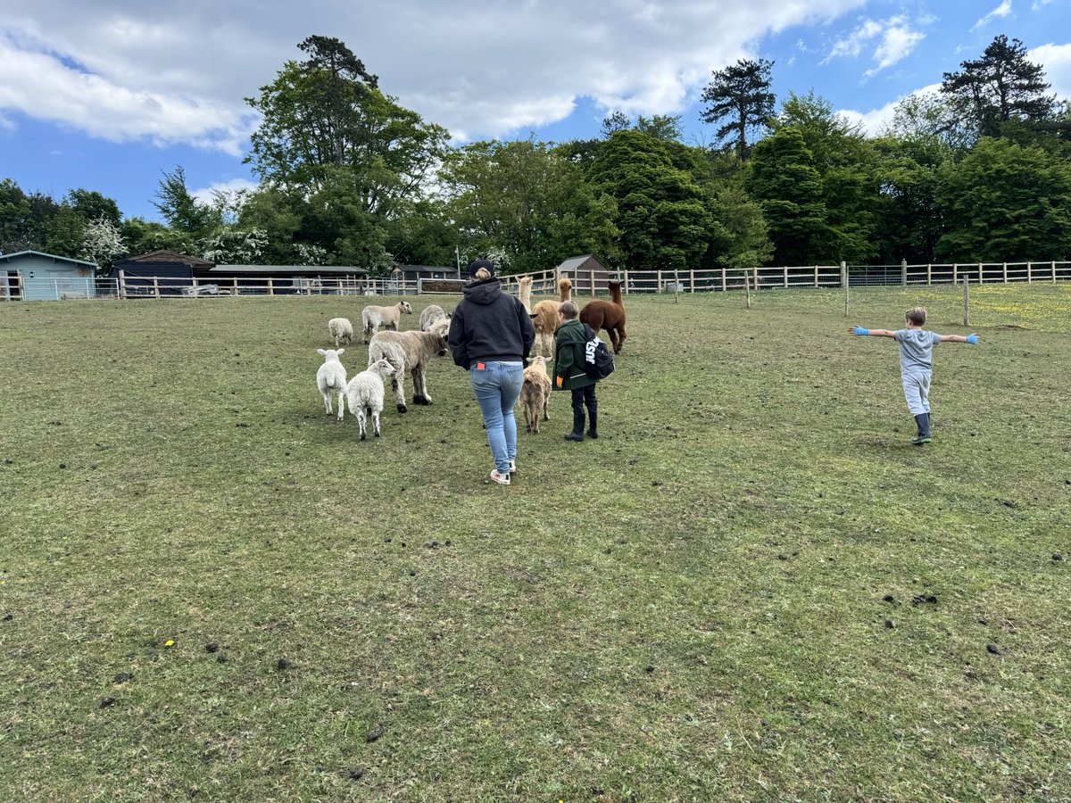 LeaLeaLemon's tweet image. #OutdoorEdChat
Had a great week, lots of nature connections, animal therapy and lovely children 🥰 @Thetherapyadventure #ForestSchool #mindfulwalkingwithchildren #animaltherapy #wellbeing #natureintervention