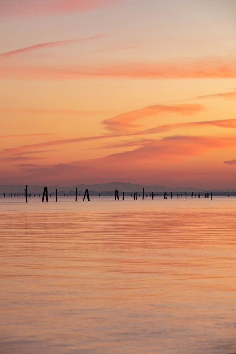 marcoitaliani's tweet photo. A tranquil beach sunset with wooden posts rising from a glass‑smooth sea. White balance set to 5000 K and only haze removal applied to keep the colors vivid and unaltered.
#Sunset #BeachPhotography #MinimalEdit https://t.co/RJOS5sXrUA