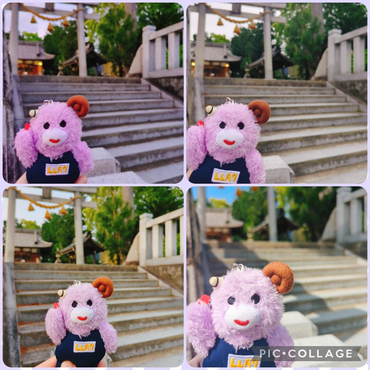 piramaru15's tweet image. 夫から｢推し活で有名な神社あるよー！｣って連絡来て、
来月行く予定だよ！って伝えたら、
｢6月じゃ当落発表に間に合わんじゃん！今週行こ！｣
ってなって、昨日急遽お仕事後連れて行ってくれることに🫶
なんやかんや言いながらも、色々調べたり協力してくれて本当感謝🥰
⛩️チケット当選祈願🐰🍎* ゚