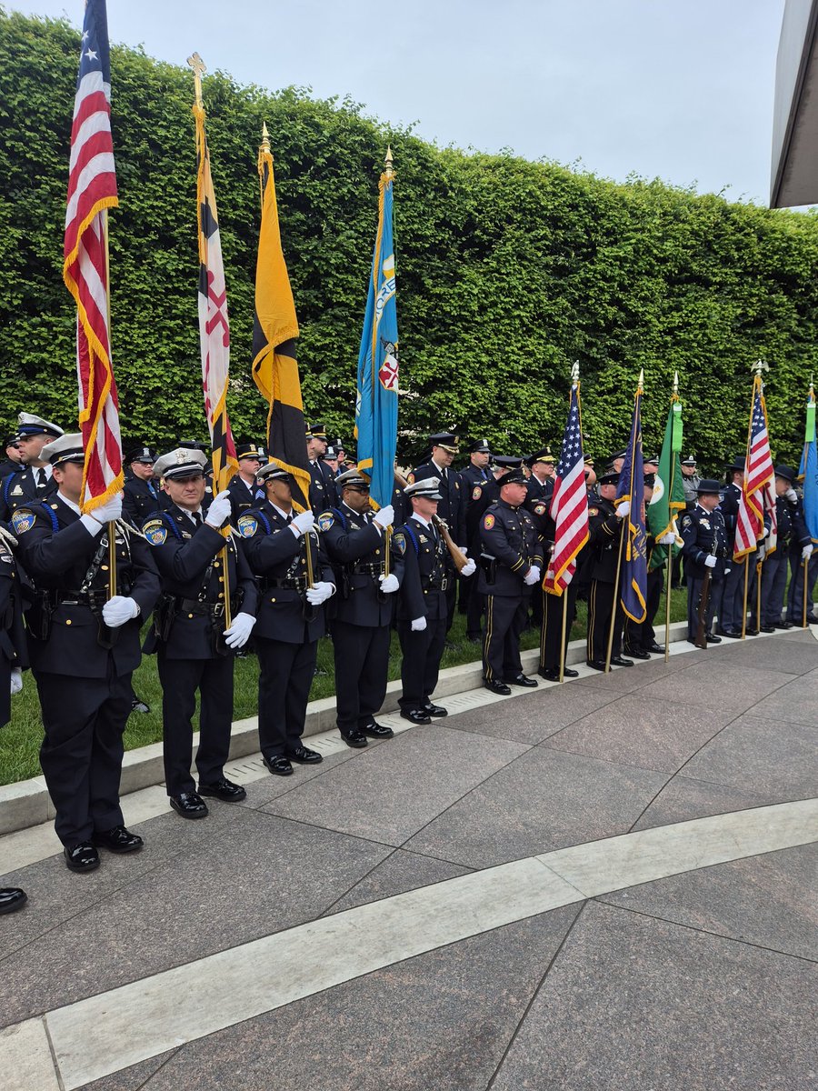 Embassy of Ireland, USA tweet media