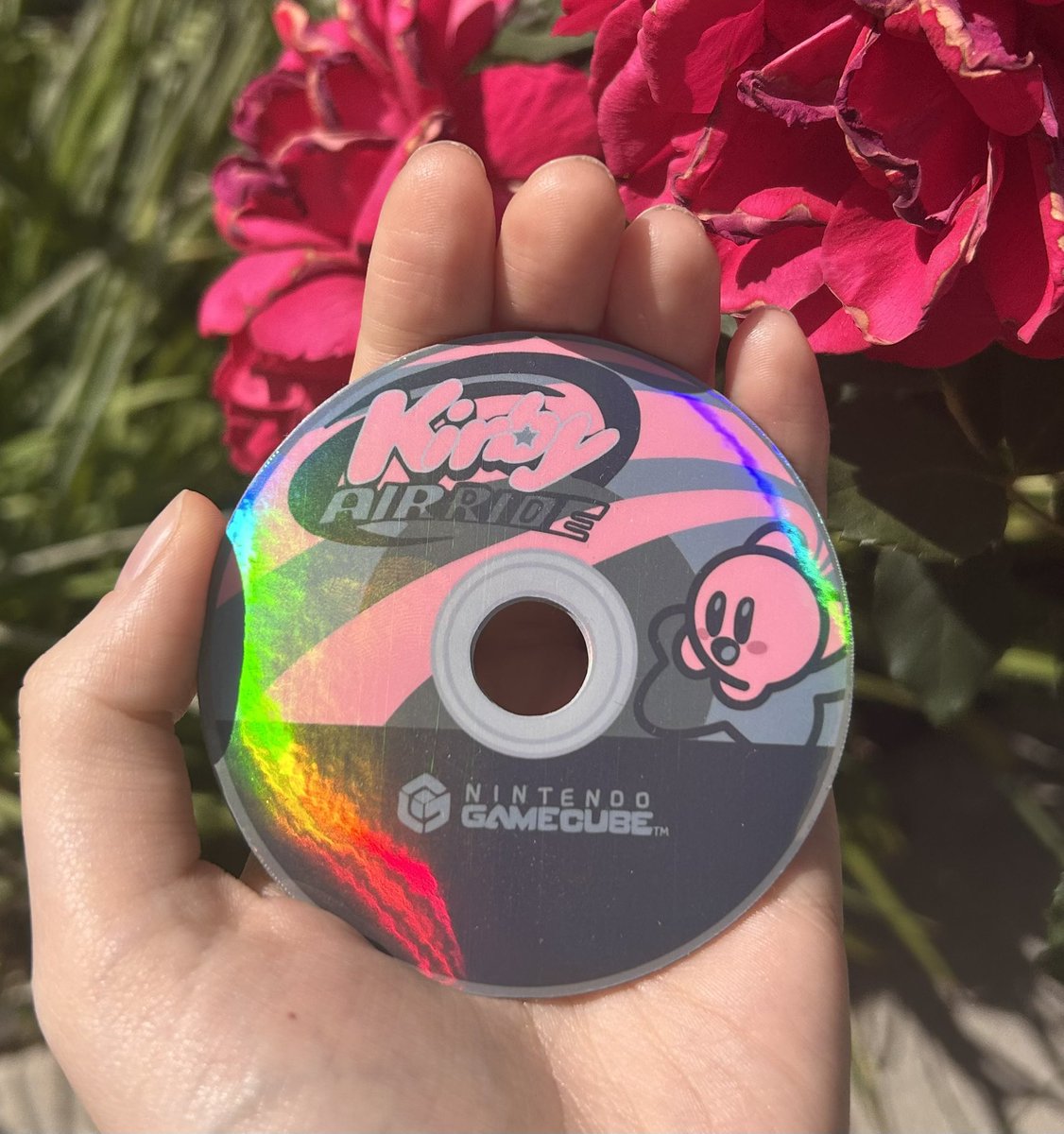 daisyopaldesign's tweet photo. new holographic kirby air ride sticker available in the shop! who’s excited for air riders on the switch 2?!?!? https://t.co/8aPpYdaoYA