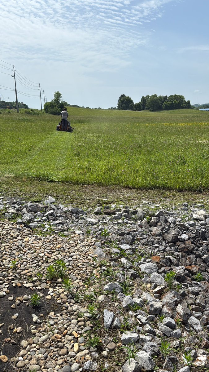 No summer internship #fuck