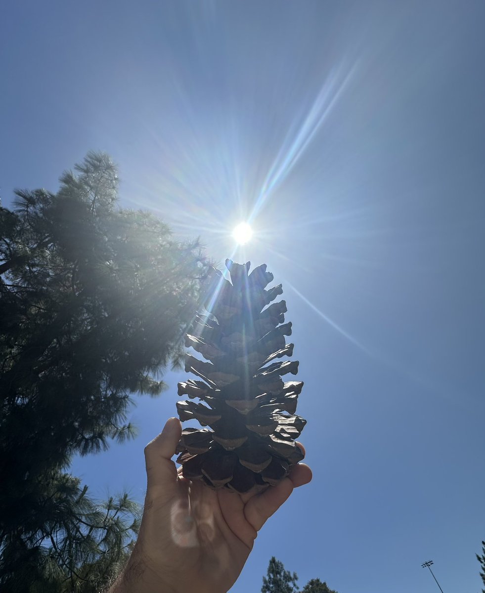 TomJasonElliott's tweet image. Pure force is the rhythm… 

The innate Hearth beat

#PureForce is #TheGift