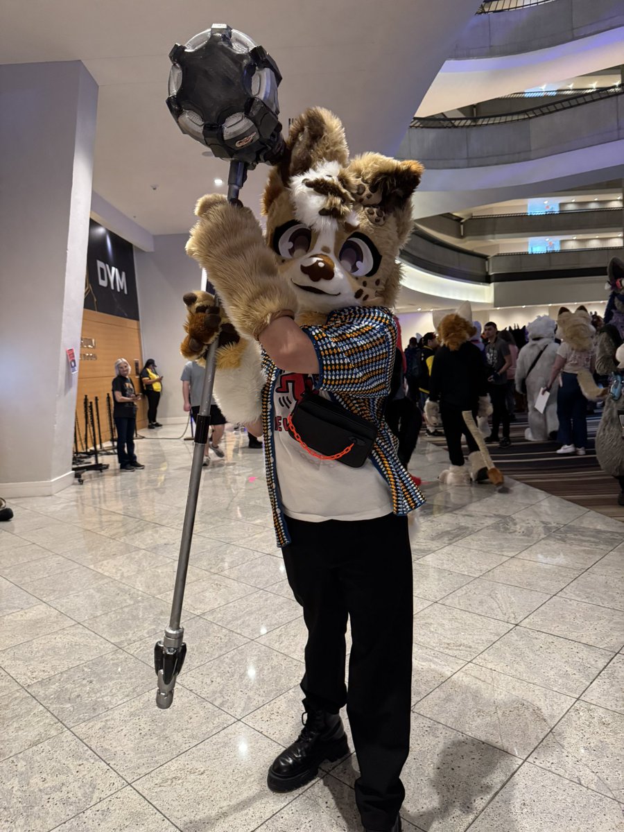 Cookie 🍪 ➡️ MFF tweet media