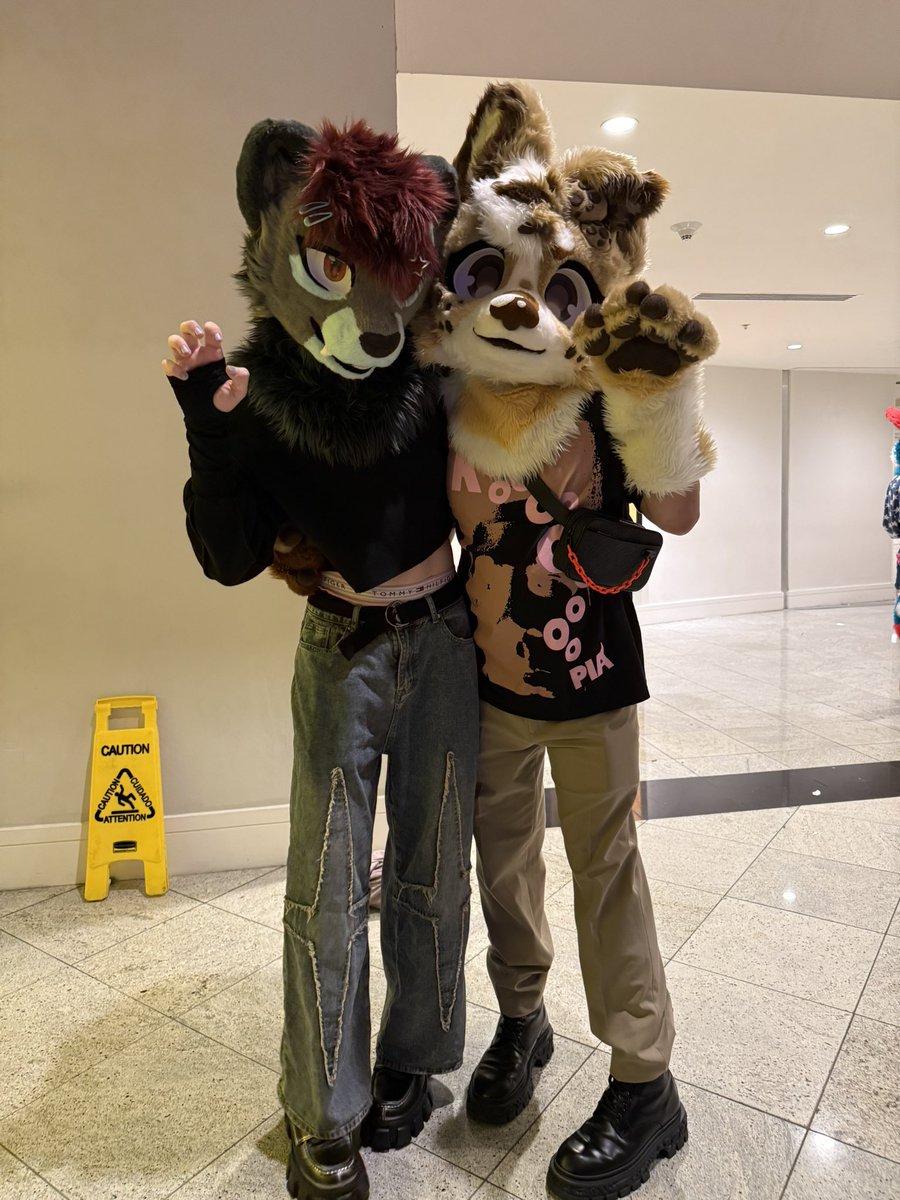 Cookie 🍪 ➡️ MFF tweet media