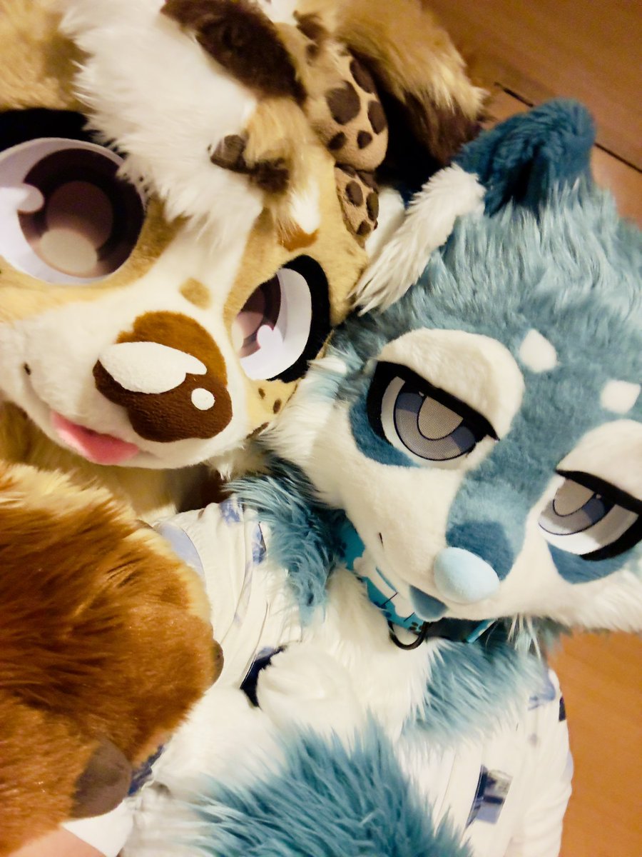 Cookie 🍪 ➡️ MFF tweet media