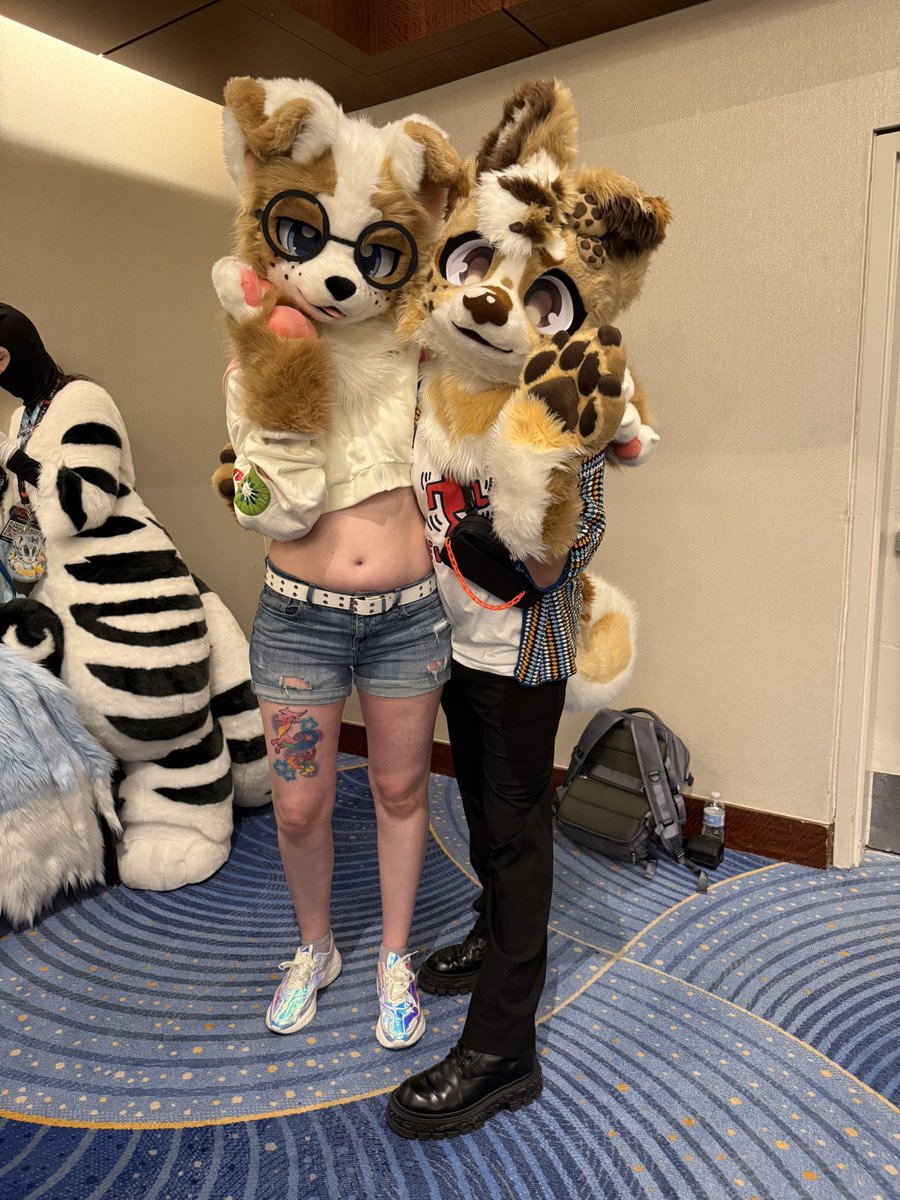 Cookie 🍪 ➡️ MFF tweet media