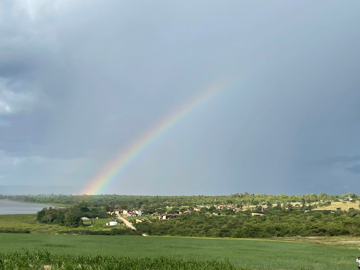mateovan's tweet image. Rainbows over the @RICA_Rwanda campus today! Such a gorgeous place. Thanks to all the RICA staff for the warm welcome of the @Foodgrains conference delegation.