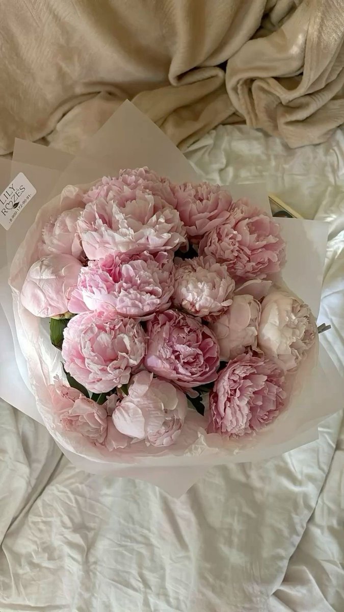 pradasunset's tweet photo. peony season https://t.co/hmw8i6hDnM