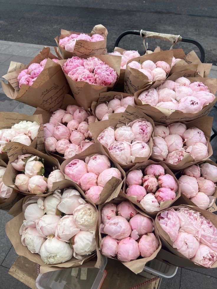 peony season