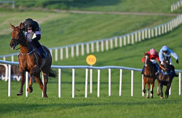 Fantastic to score a double today with Voice of reason starting the day off with a bang under Paddy Cleary and Carson's Dreamboat rounding it off in the bumper under Harry Swan. Well done to everyone involved 
📸 Healy Racing