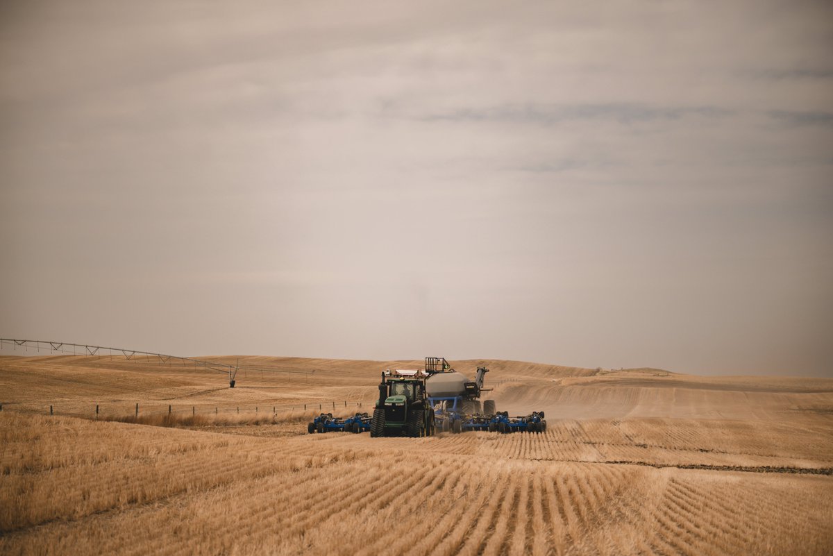 K3 Seeds tweet media