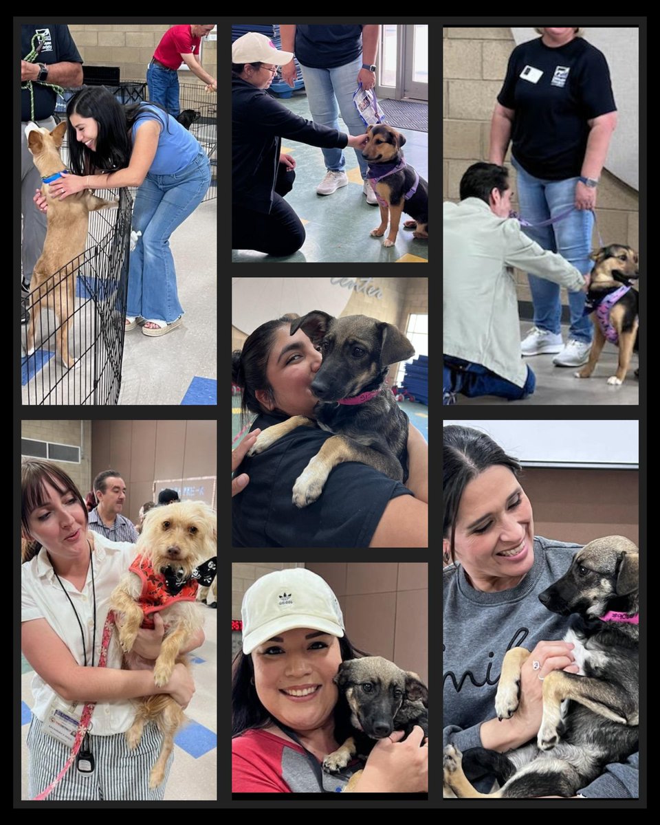 Our nurses, Nurse Jaime and Uribe, partnered with the Humane Society of El Paso in honoring our teachers during Teacher Appreciation week. They sponsored a "Puppy Hour" with cute puppies and dogs. 🐕‍🦺 Our teachers received lots of doggy  kisses and hugs.🦮 It was a very relaxing