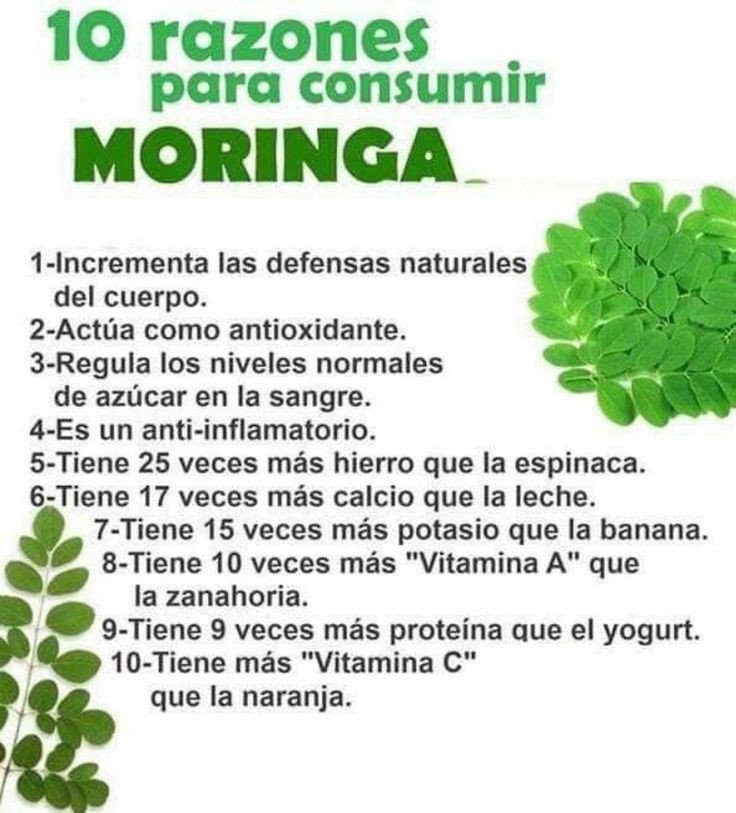 ✨💫🌿☀️Tip Salud☀️🌿💫✨

Moringa

*Regálame un Gracias así se que me lees y te gusta mi contenido*
