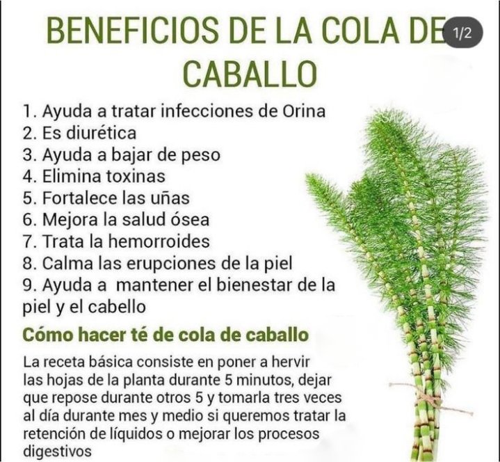 ✨💫🌿☀️Tip Salud☀️🌿💫✨

Beneficios de cola de caballo

*Regálame un Gracias así se que me lees y te gusta mi contenido*