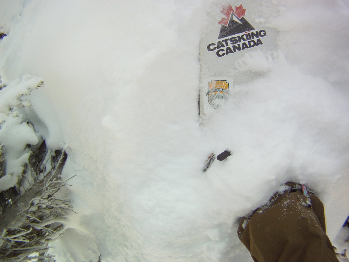 The OG's of Heliskiing Canada &amp; Catskiing Canada <a href="/Catskiing_org/">Catskiing.org</a>