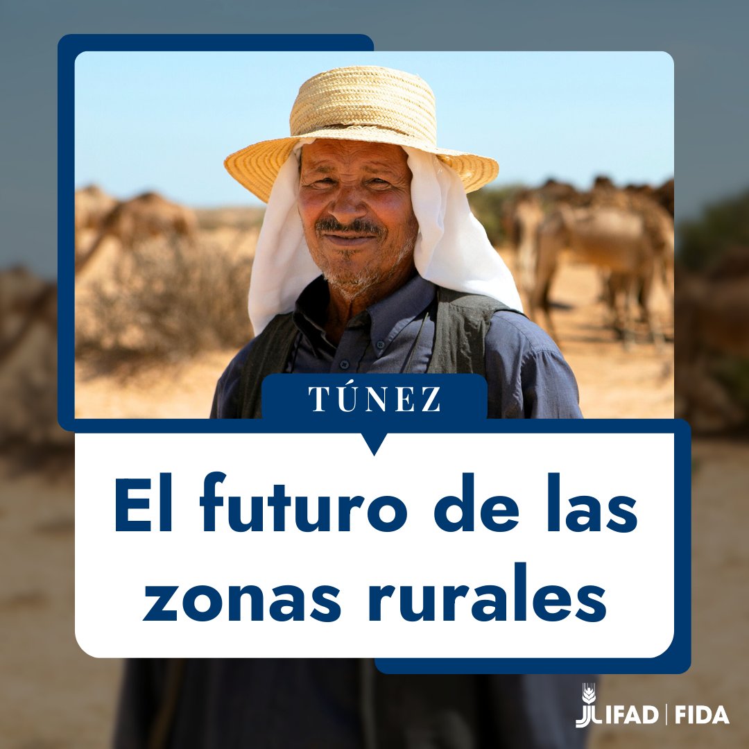 IFADespanol's tweet image. La agricultura impulsa la economía de Túnez. Fortalecer cadenas de valor, infraestructura e inclusión de mujeres y jóvenes es clave para la seguridad alimentaria.
Explora su potencial con las perspectivas de nuestro Director en el País, Philippe Remy 👇
ifad.org/es/w/opiniones…