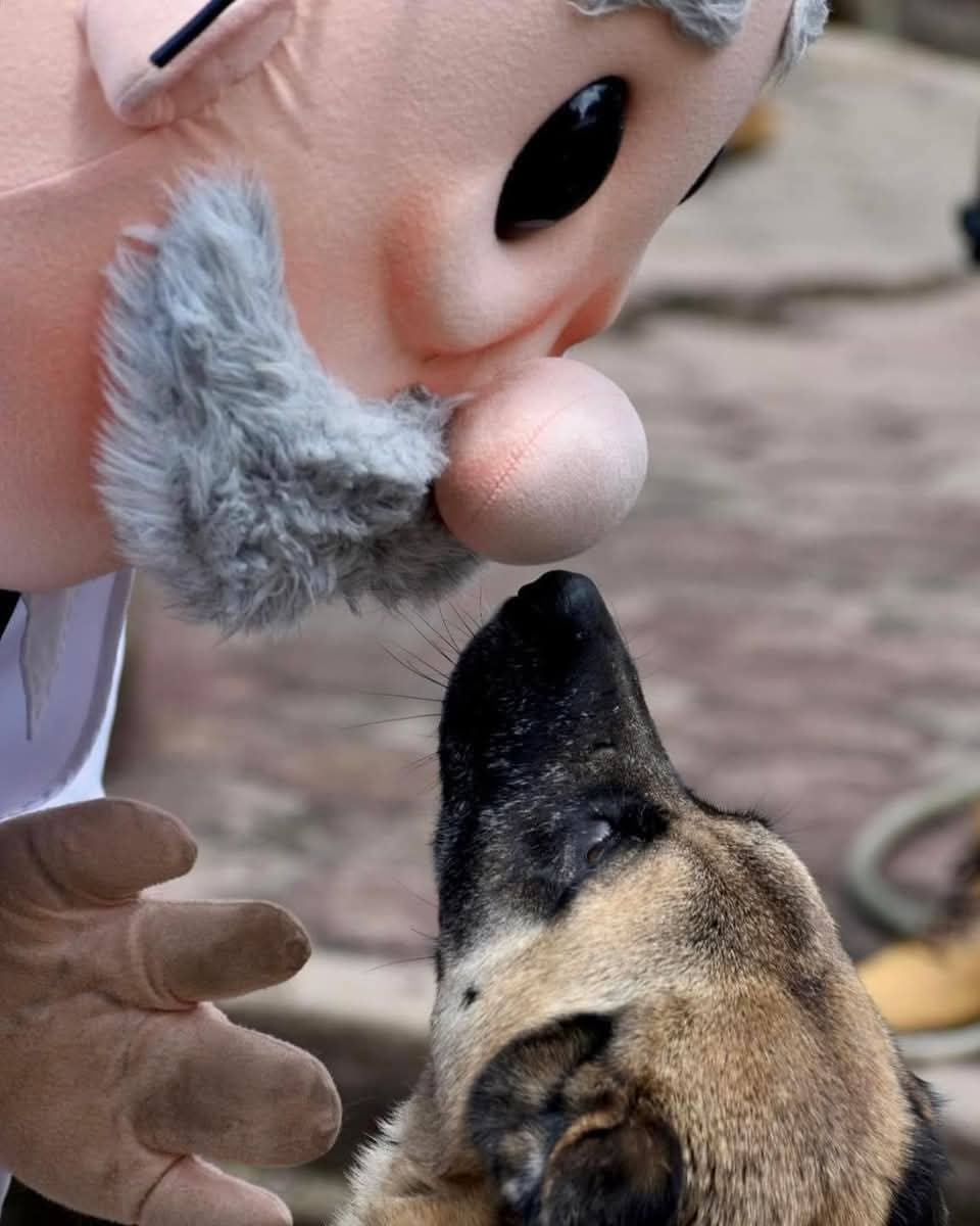 eldatomx's tweet photo. Anuncian llegada de “SimiPet Care”, consultorios veterinarios de bajo costo en México 

Farmacias Similares prepara el lanzamiento de “SimiPet Care”, un nuevo modelo de consultorios veterinarios que buscará ofrecer atención médica accesible para mascotas, replicando su esquema de bajo costo para humanos. 

Se espera que la Fundación Best detalle próximamente el funcionamiento y fecha de apertura oficial.
