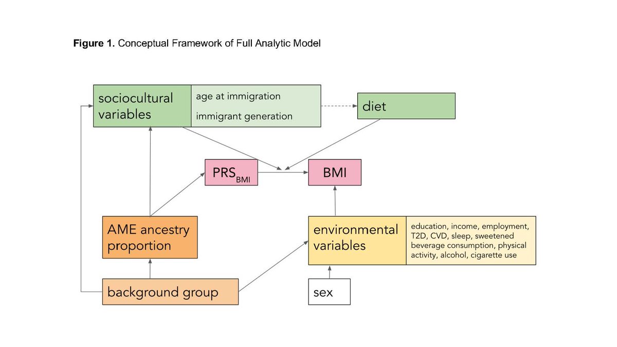 ASHG (@geneticssociety) on Twitter photo The latest <a href="/HGGAdvances/">Human Genetics and Genomics Advances</a> study examines the interaction of a polygenic score for BMI with sociocultural factors and genetic ancestry across groups in the Hispanic Community Health Study/Study of Latinos (HCHS/SOL): cell.com/hgg-advances/f… #ASHG #GeneticsDiscoveries #HumanGenetics The latest <a href="/HGGAdvances/">Human Genetics and Genomics Advances</a> study examines the interaction of a polygenic score for BMI with sociocultural factors and genetic ancestry across groups in the Hispanic Community Health Study/Study of Latinos (HCHS/SOL): cell.com/hgg-advances/f… #ASHG #GeneticsDiscoveries #HumanGenetics
