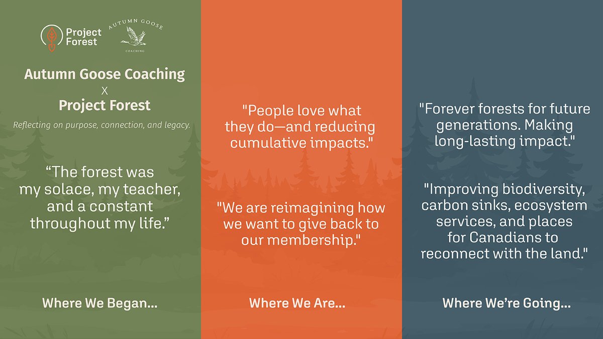 ProjectForest_'s tweet image. What does rewilding really mean?

Our community responded with reflections rooted in childhood memories, sustainability goals, and a vision for the future. 🌱

Read their words. Share your own. ⬇️

#ProjectForest #Rewilding #AutumnGooseCoaching #PartnerImpact