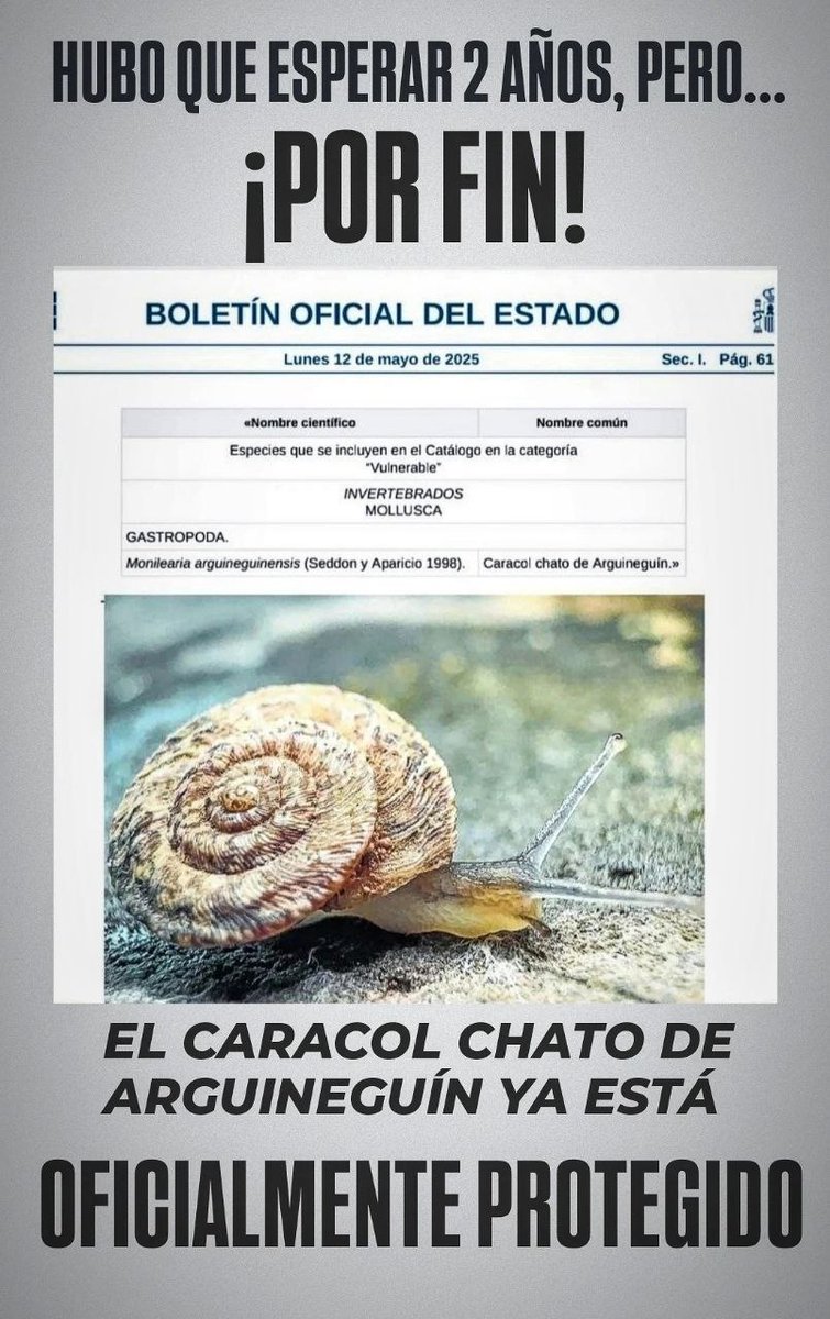 TamaranaeK's tweet photo. ⬛ Desde Tamaranae Activistas Kanari queremos expresar nuestros más sinceros agradecimientos:

➡️ A la Sociedad Española de Malacología (SEM), a su presidenta Carmen Salas Casanova, a su secretario Ramón M. Álvarez Halcón por el apoyo y asesoramiento, https://t.co/Ryp57aokxM