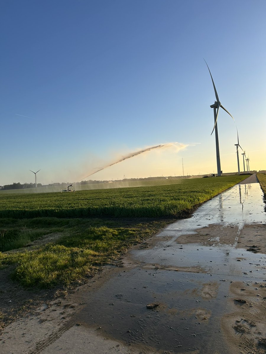 Leo Sturm tweet media