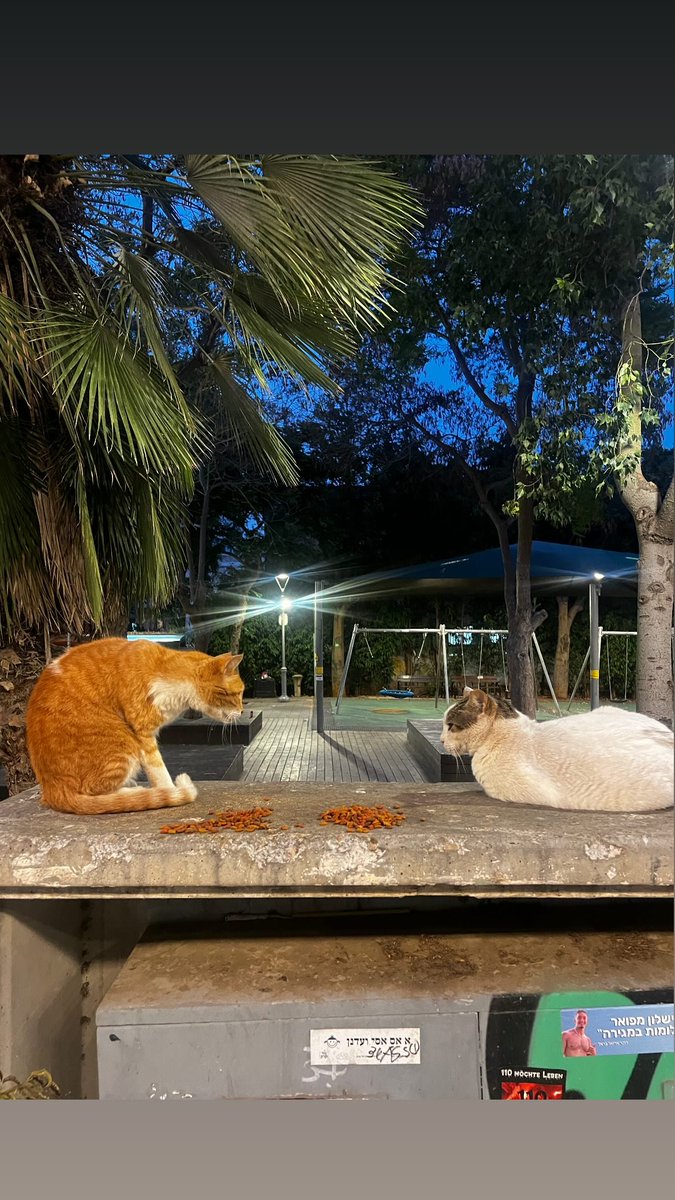 #SashaRoiz Via Instagramstorie at Shenkin St. #Israel