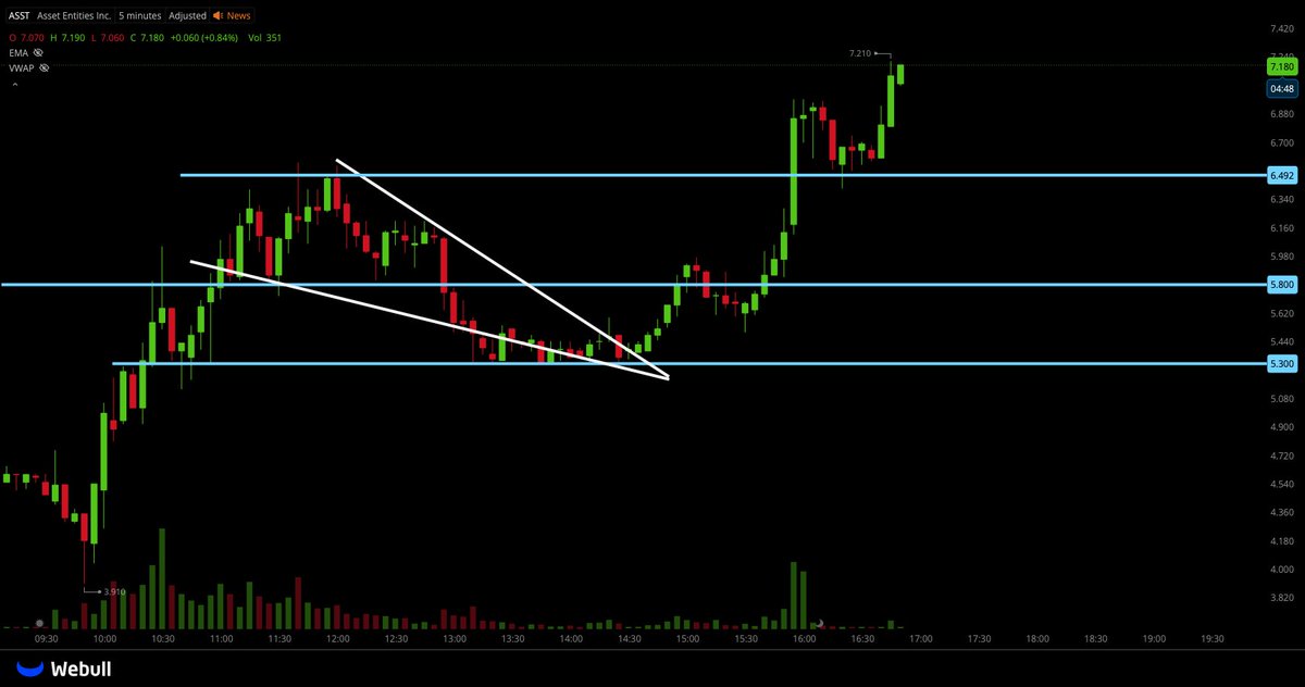 🐅hassytrades tweet media