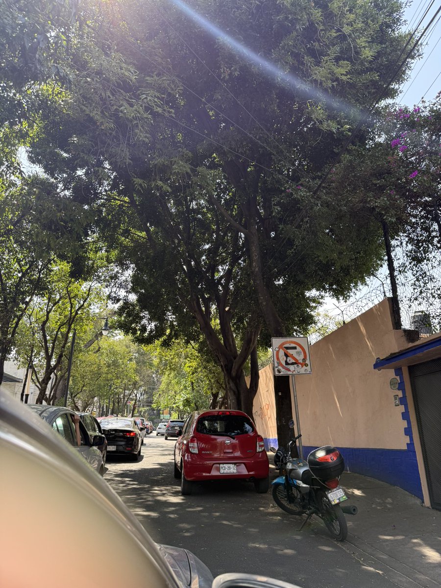 cczavala's tweet photo. Se siguen estacionando en lugar prohibido entorpeciendo el paso de los autos en la calle de Calvario casi esq Insurgentes, cuándo mandan a una grúa a quitarlos @Gabyosoriohdz @TlalpanVecinos https://t.co/rBwTADRQ4G
