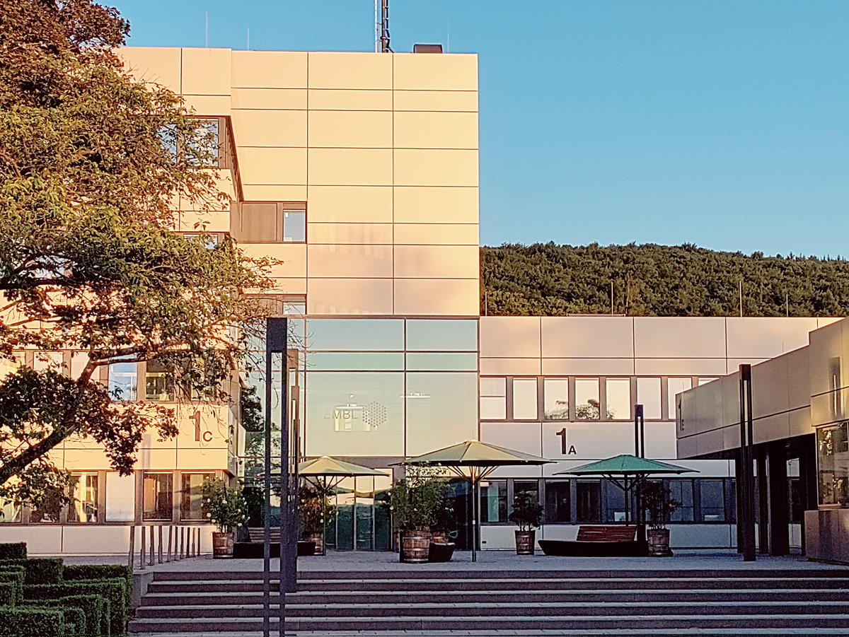 ArchanaKambaru's tweet photo. Had a great time presenting my poster at the #EMBLChromatin conference, Heidelberg! Truly a pleasure discussing science with so many brilliant minds—deeply insightful and inspiring conversations throughout!
The beautiful surroundings made it even more special.
@EMBLEvents @embl https://t.co/LVYNhob8F5
