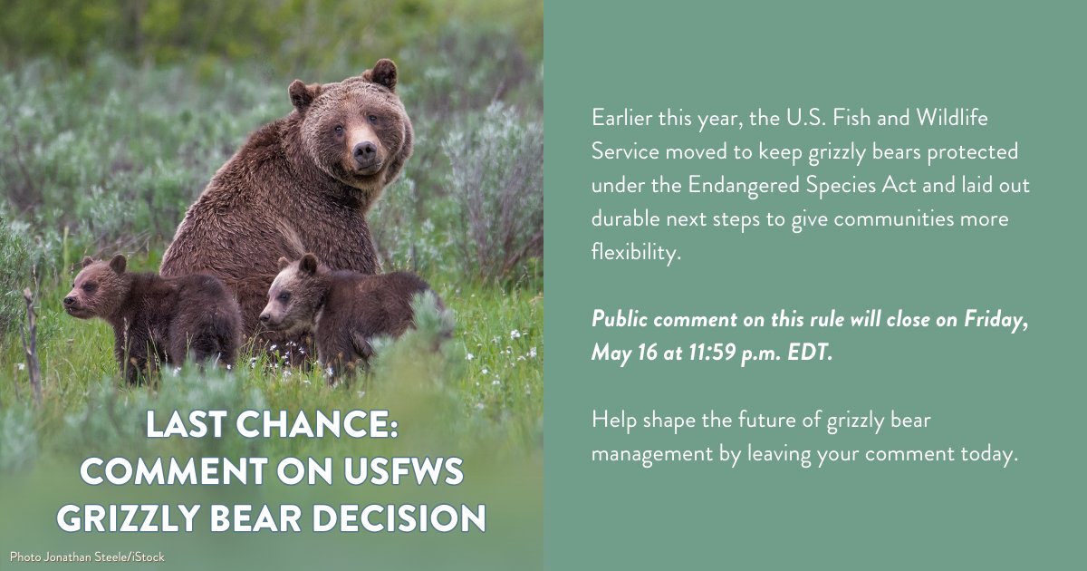 Grizzly bear advocates: This is your final chance to submit comment on the U.S. Fish and Wildlife Service’s proposed grizzly bear rule!

Submit your comment now at p2a.co/naCBe94
