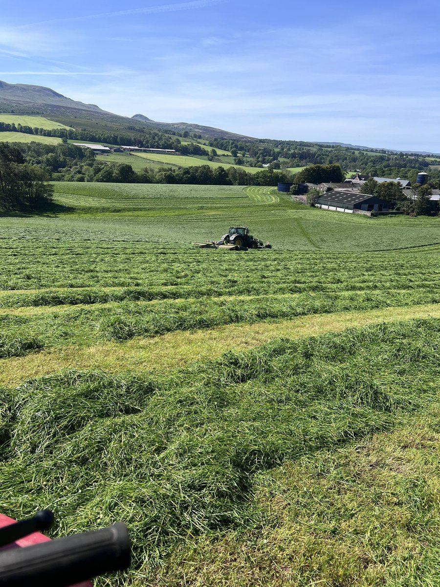 Go go go, 5 mowers will soon knock it down