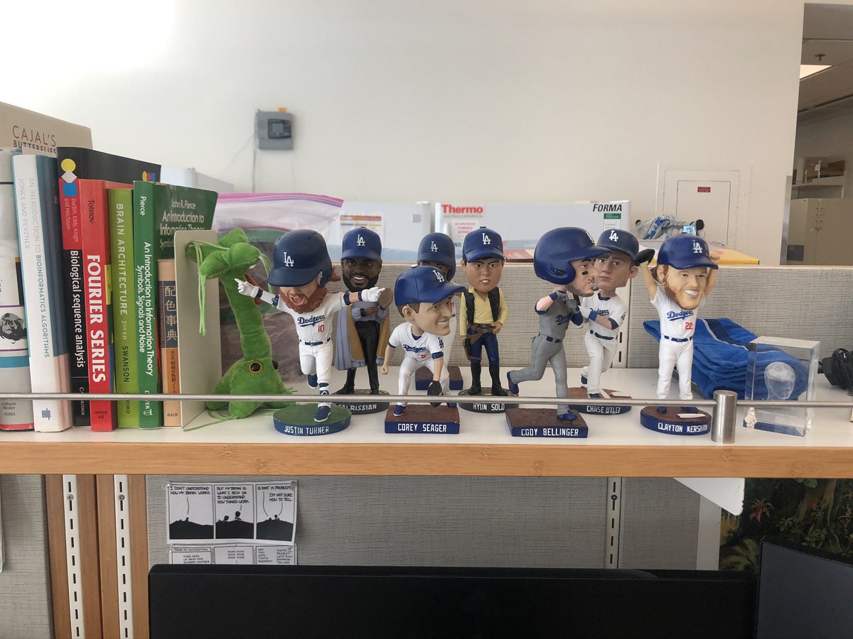 The shelf above my desk at the lab during grad school 6 years ago. Should have known then that I was not destined for science.