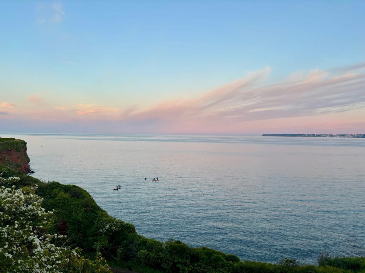 Maureen McAllister tweet media