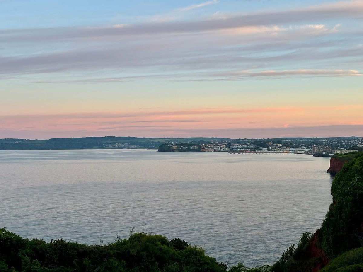 Maureen McAllister tweet media