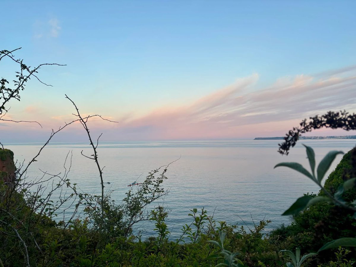 Maureen McAllister tweet media