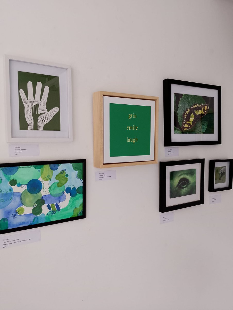 Today we installed our 'Green' exhibition ready for opening on Saturday. It's a striking and varied show that takes a look at all things green, from the colour green to environmental issues and everything in between! 💚
