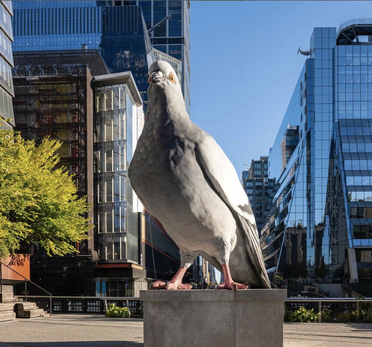 NYC Mayor's Office of Urban Agriculture (@nycurbanag) on Twitter photo JOIN US Saturday 6/14 when weāll be joining our friends <a href="/highlinenyc/">The High Line</a> for #PigeonFestNYC - a full-day festival celebrating pigeons, urban ecology, & public art!
š: High Line along 30th Street & the Spur
š: Sat 6/14 | Rain Date: Sun 6/15
ā°: 12-8pm
RSVP: bit.ly/4j6qmvY JOIN US Saturday 6/14 when weāll be joining our friends <a href="/highlinenyc/">The High Line</a> for #PigeonFestNYC - a full-day festival celebrating pigeons, urban ecology, & public art!
š: High Line along 30th Street & the Spur
š: Sat 6/14 | Rain Date: Sun 6/15
ā°: 12-8pm
RSVP: bit.ly/4j6qmvY