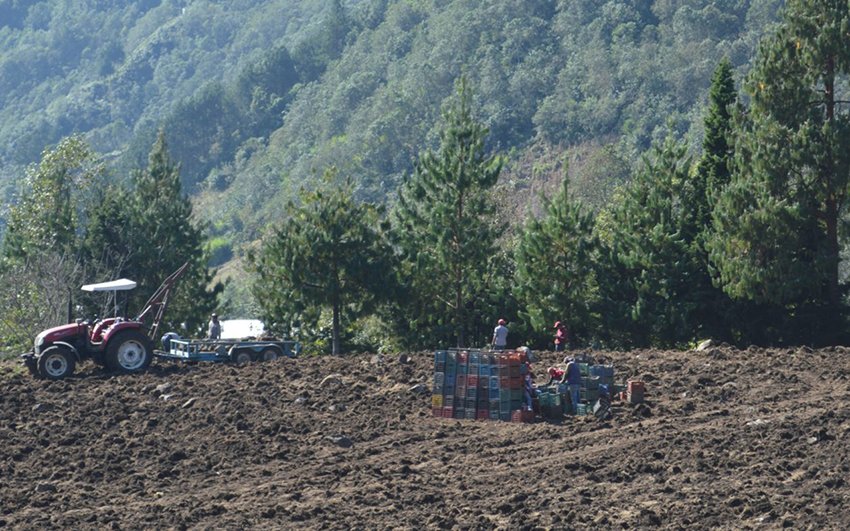 En #Veracruz personas que viven cerca de plantaciones de papa cultivadas con agrotóxicos padecen náuseas, ardores en la piel, dolores de cabeza y llegan a ser hospitalizadas. Testimonios en la región muestran una situación que necesita regulación urgente 👉bit.ly/45e4DP7