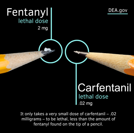 DEASTLOUISDiv's tweet image. #Carfentanil was originally developed for veterinary use, more specifically to tranquilize large animals like elephants! It's extremely potent and estimated to be 100 times stronger than #fentanyl. #JustKnow
tinyurl.com/mmdamn32