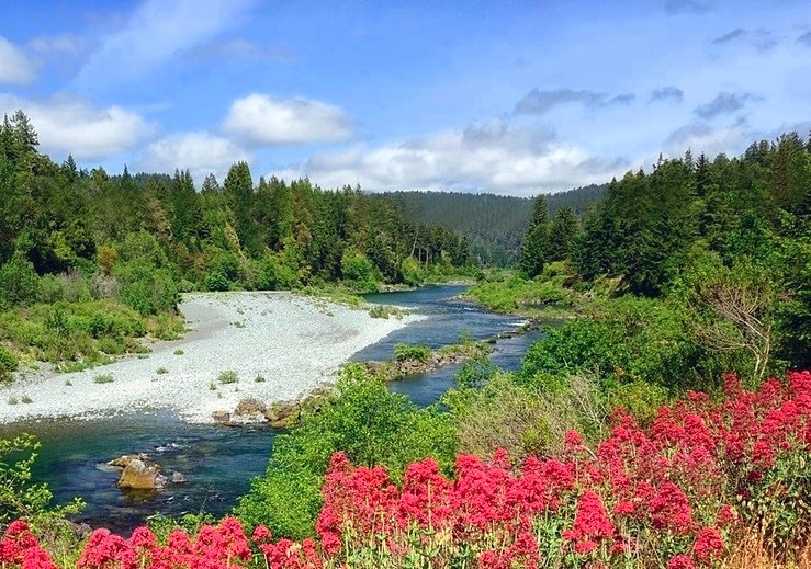 Caretaker individuals, couple, or family needed on an off-grid property in Humboldt County, California. Details about this new position were sent out to our paid subscribers in our latest email update.  Any questions, please email caretakergazette@gmail.com