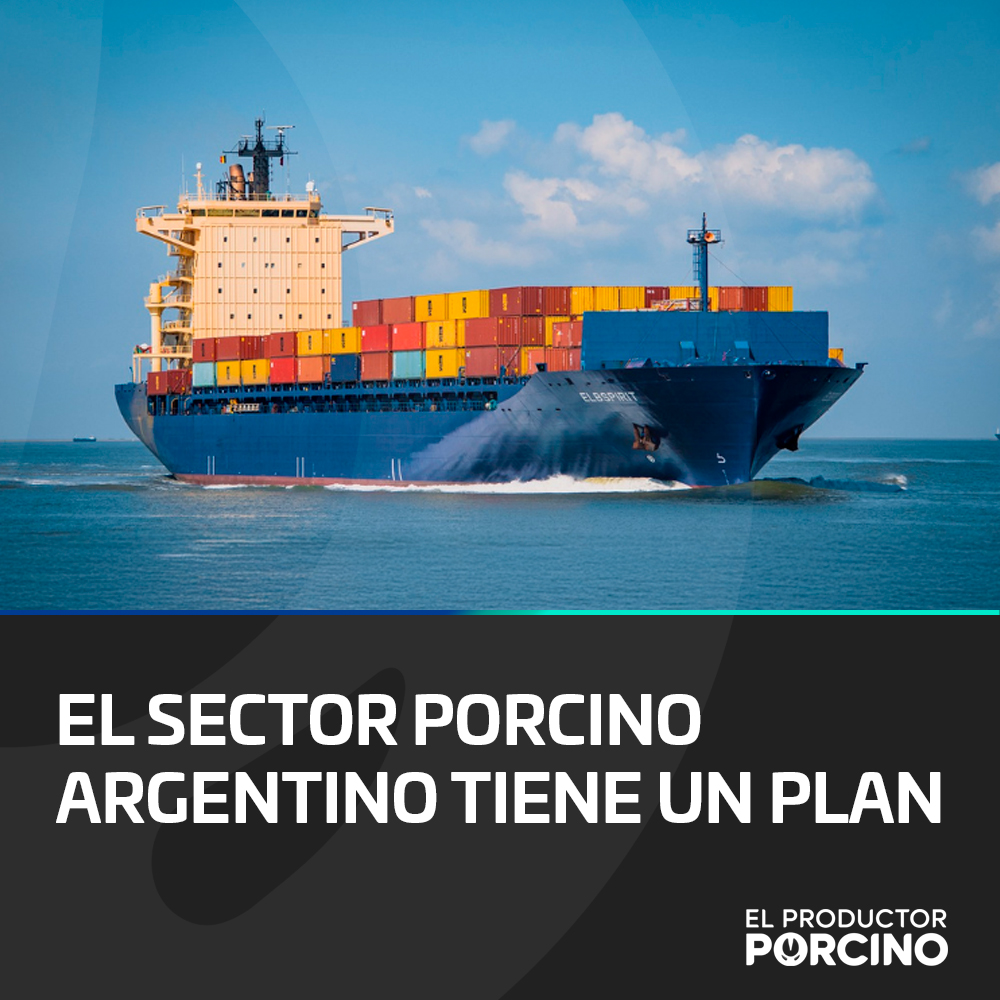 La Federación Porcina Argentina presentó su plan estratégico para aumentar la exportación, el empleo y el consumo interno. Se trazó una agenda federal, productiva y sanitaria para impulsar definitivamente al sector porcino, con metas proyectadas al 2032.

elproductorporcino.com/blog/news/el-s…
